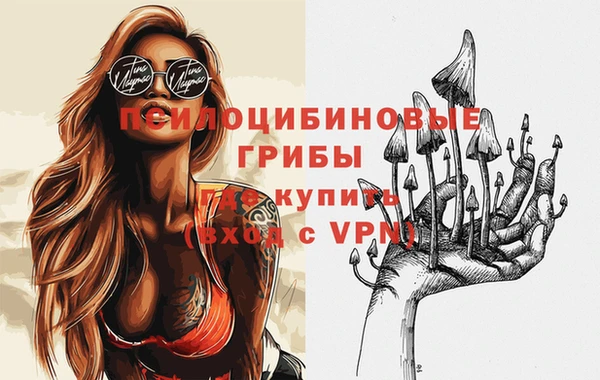 кокс Абаза