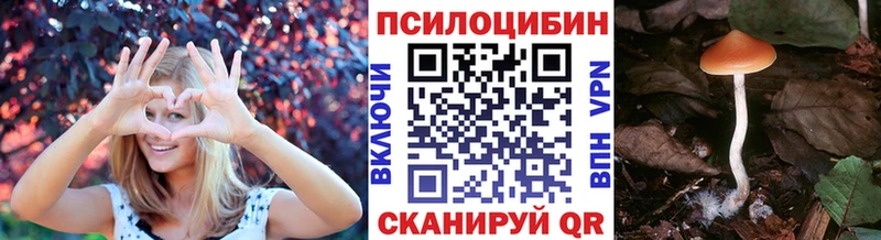 mega как зайти  Шенкурск  Галлюциногенные грибы мицелий 