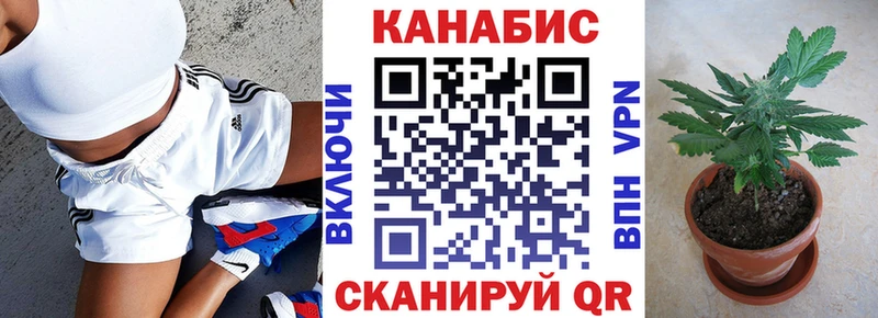 Канабис White Widow  где найти   Шенкурск 